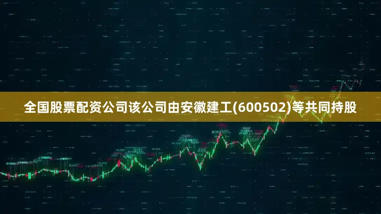 全国股票配资公司该公司由安徽建工(600502)等共同持股